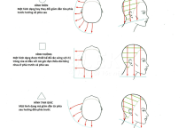 Hiểu Về H&igrave;nh Khối T&oacute;c Nam V&agrave; Tư Duy Nền Tảng Của Một Barber